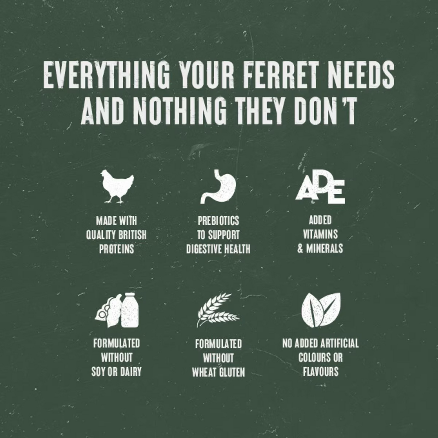 Alpha - Ferret Feast