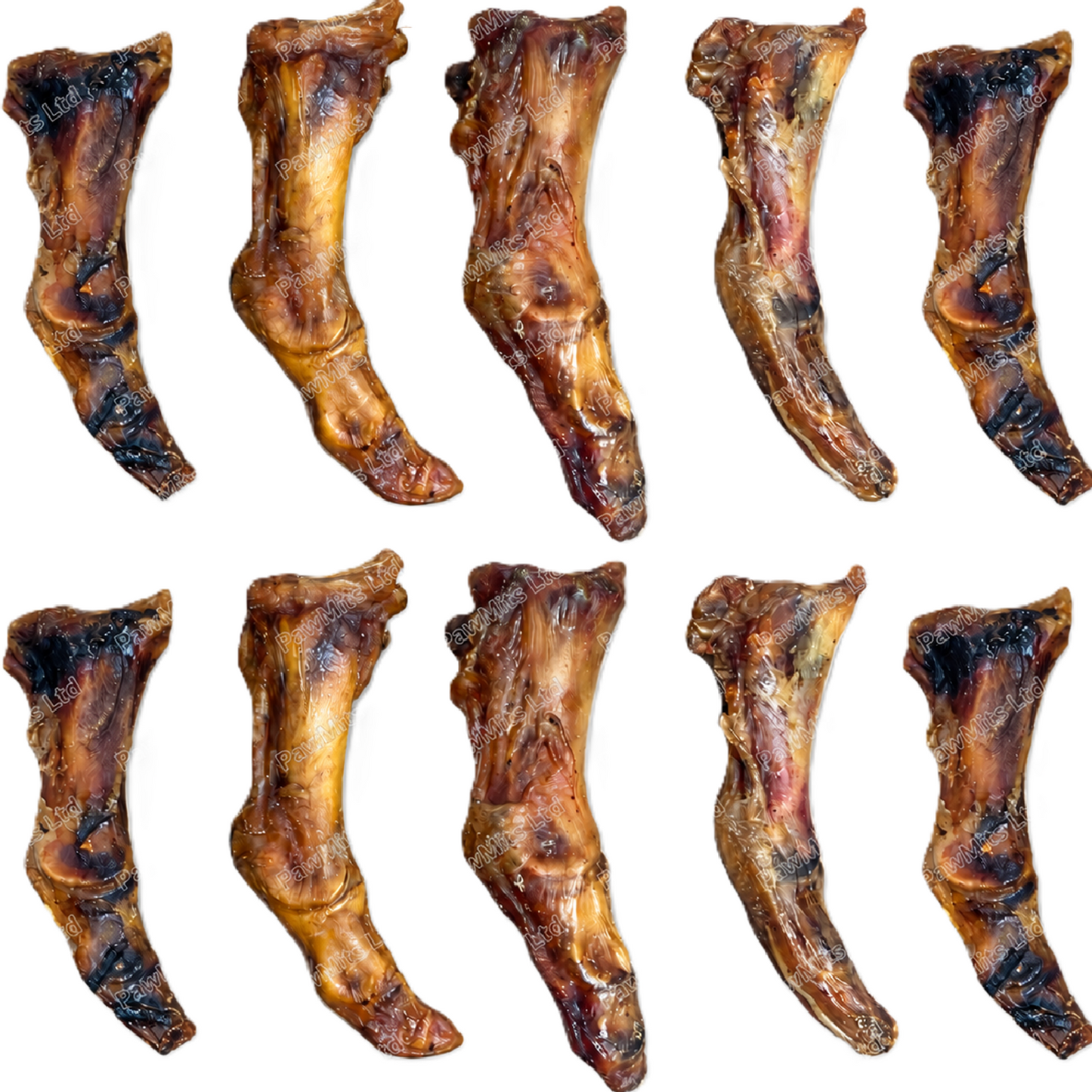 Paddock Farm - Ostrich Foot
