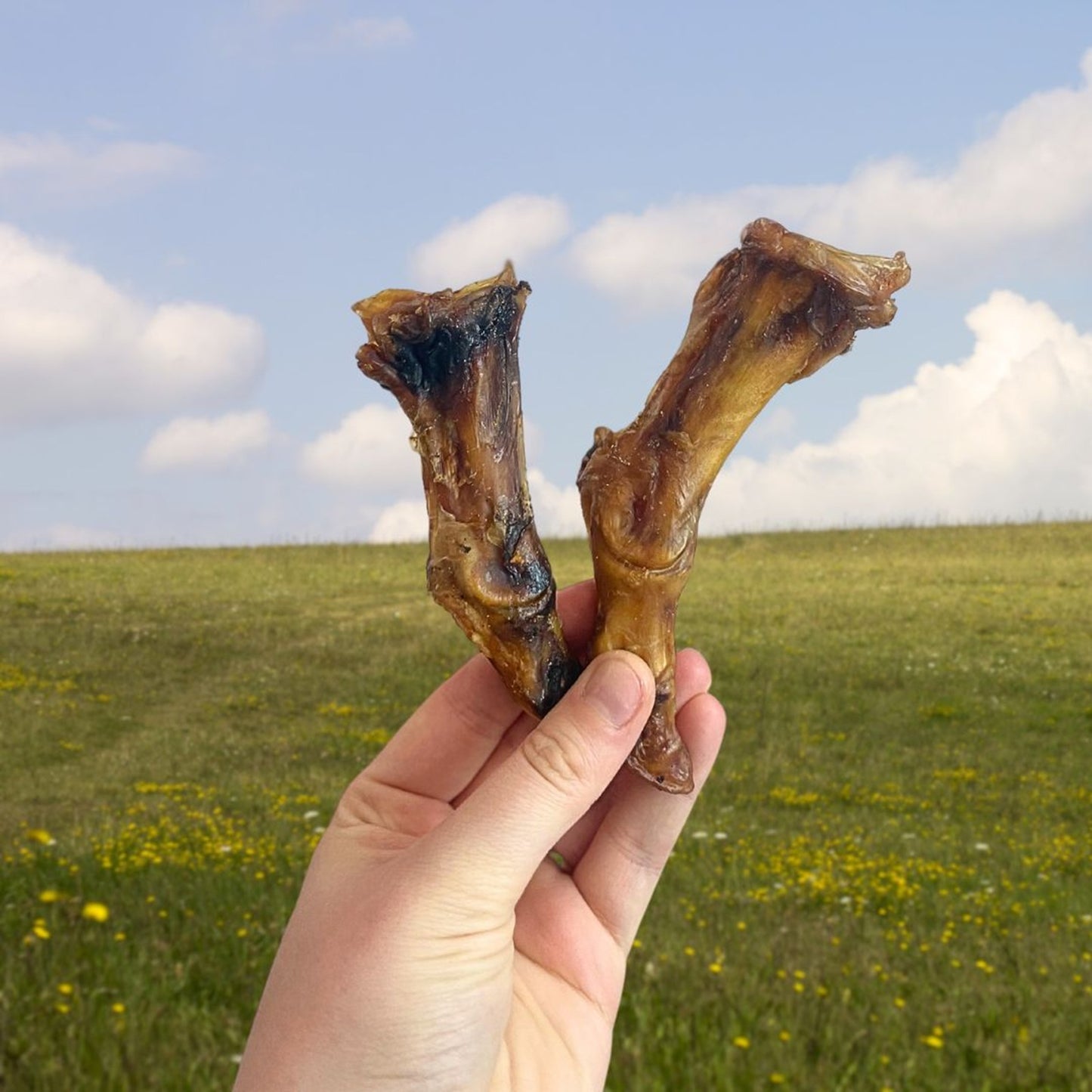 Paddock Farm - Ostrich Foot
