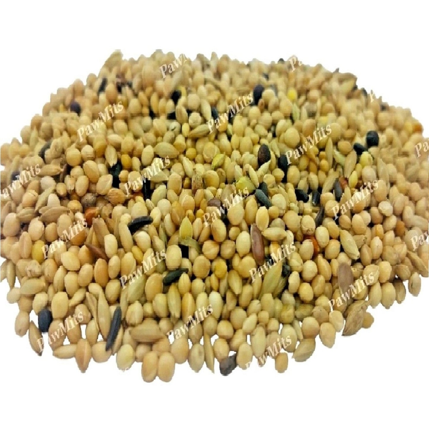 BestPets - Foreign Finch (20kg)
