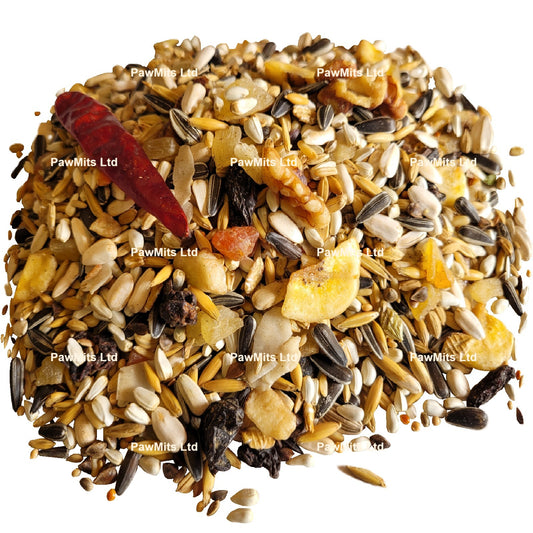 Exotic Bird - Fruity Conure Mix