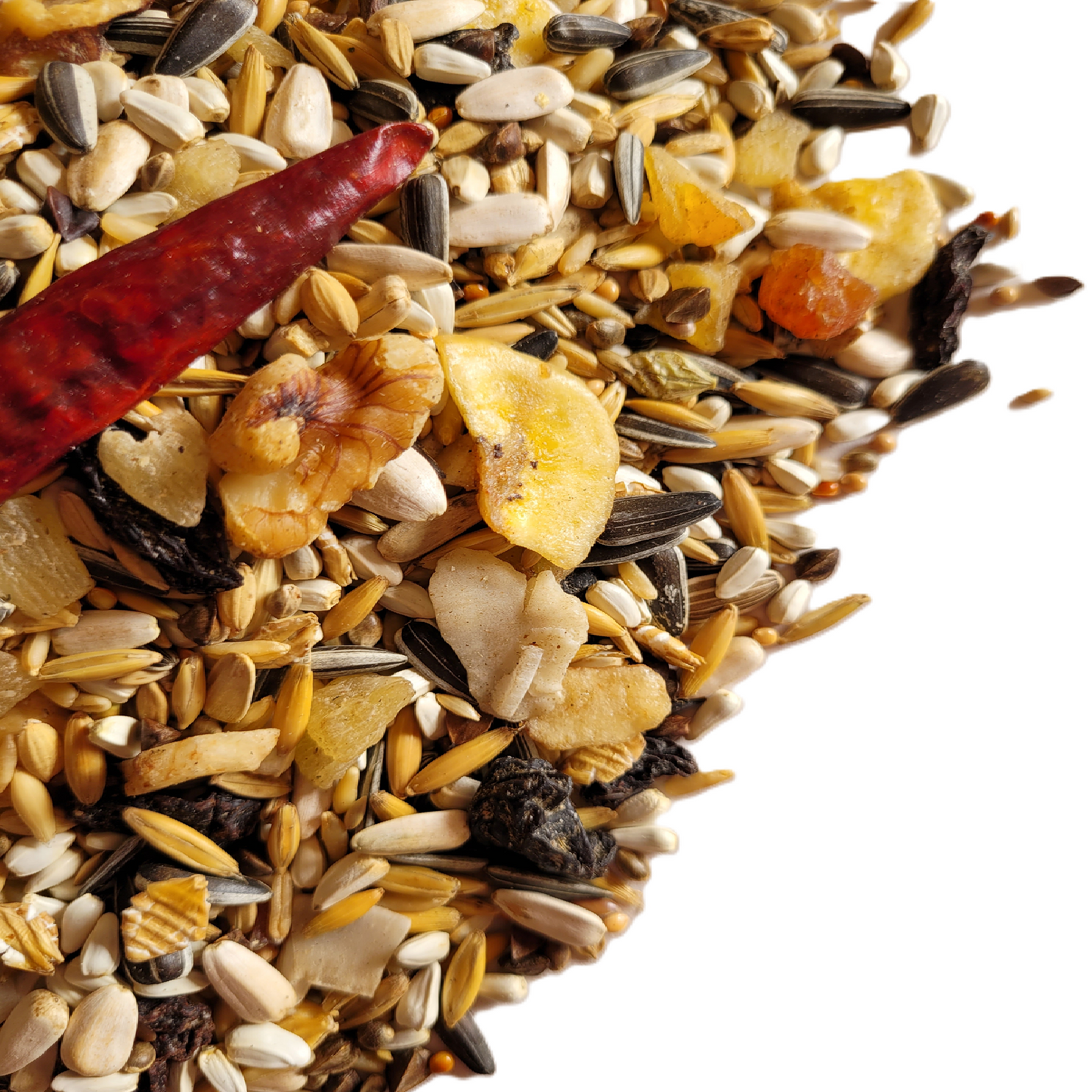 Exotic Bird - Fruity Conure Mix