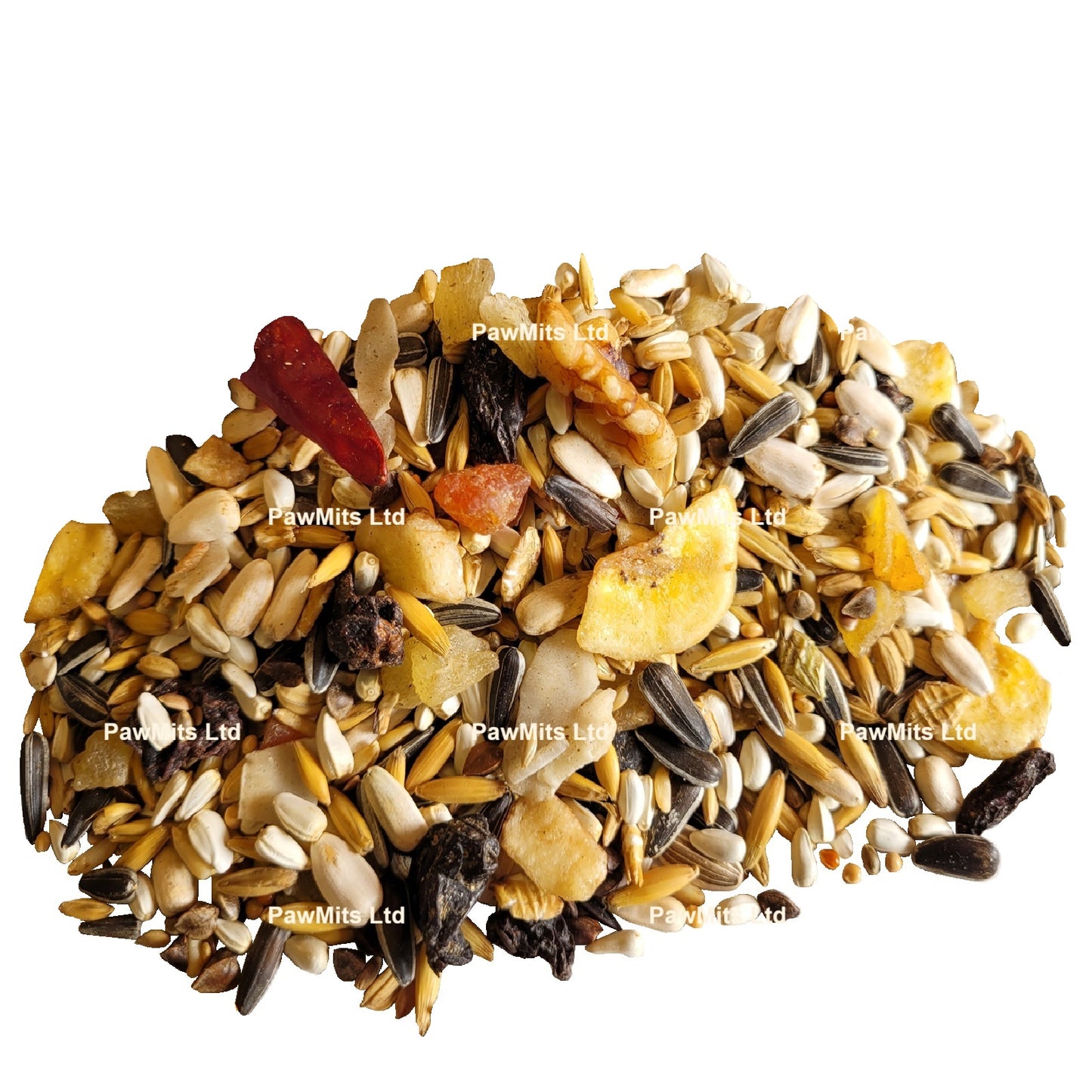 Exotic Bird - Fruity Conure Mix
