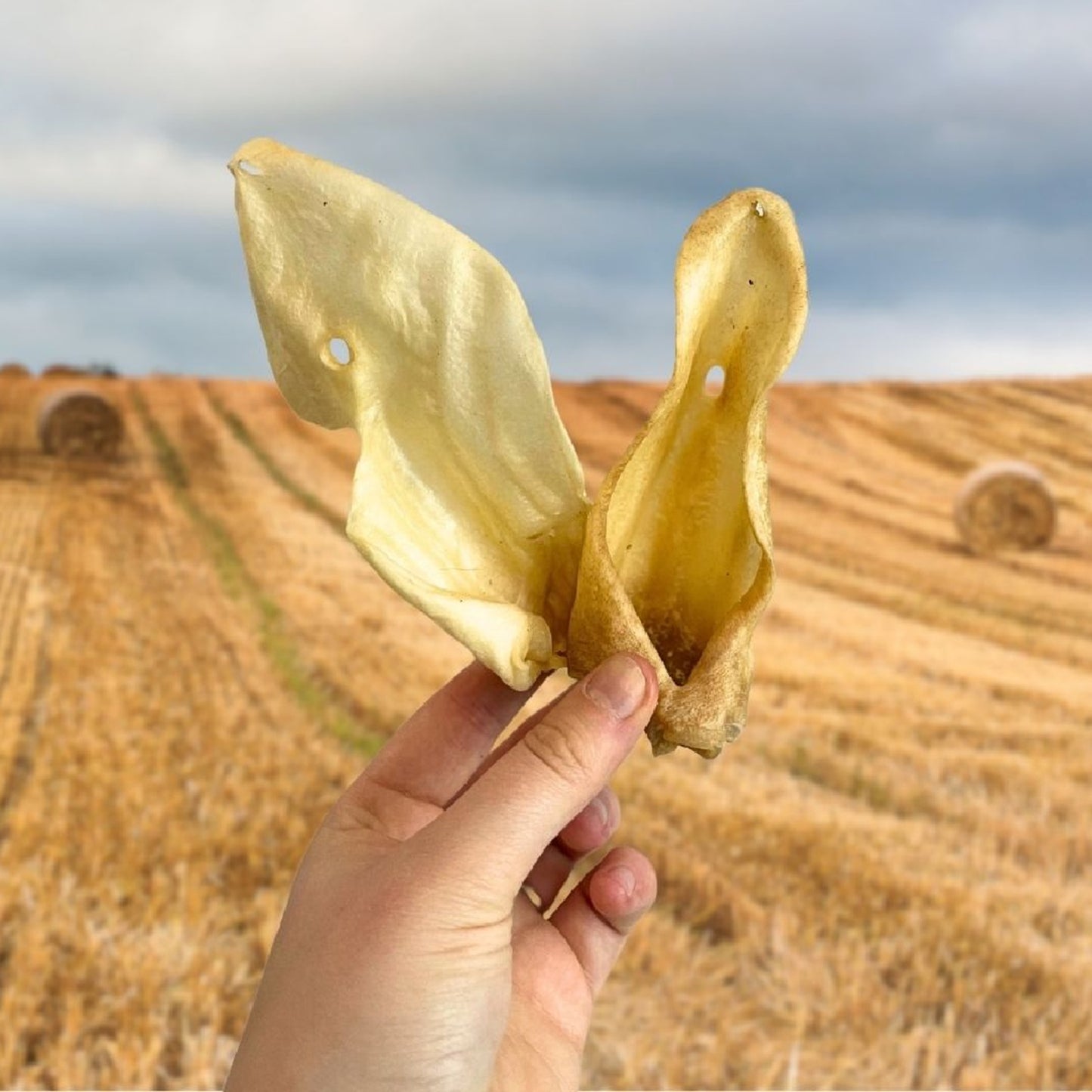 Paddock Farm - Goat Ears (1kg)