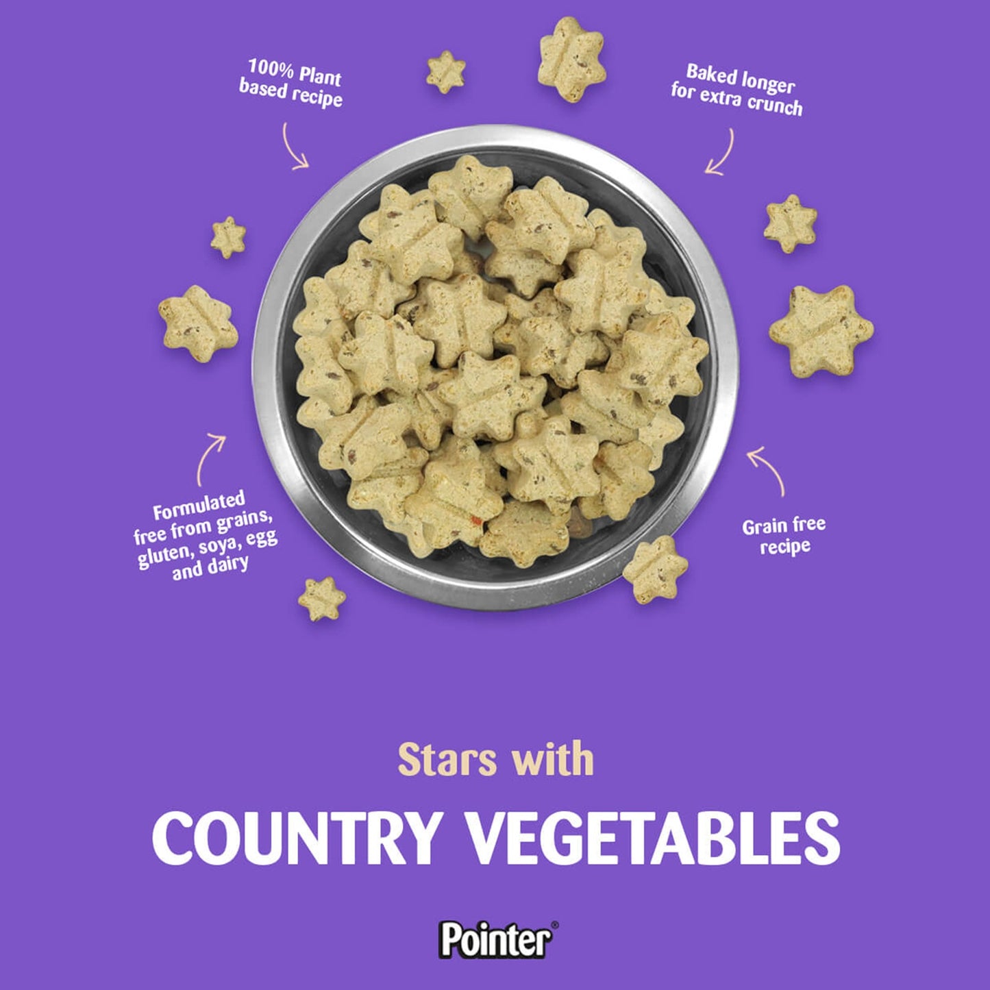 Pointer - Grain Free Stars with Country Veg (10kg)
