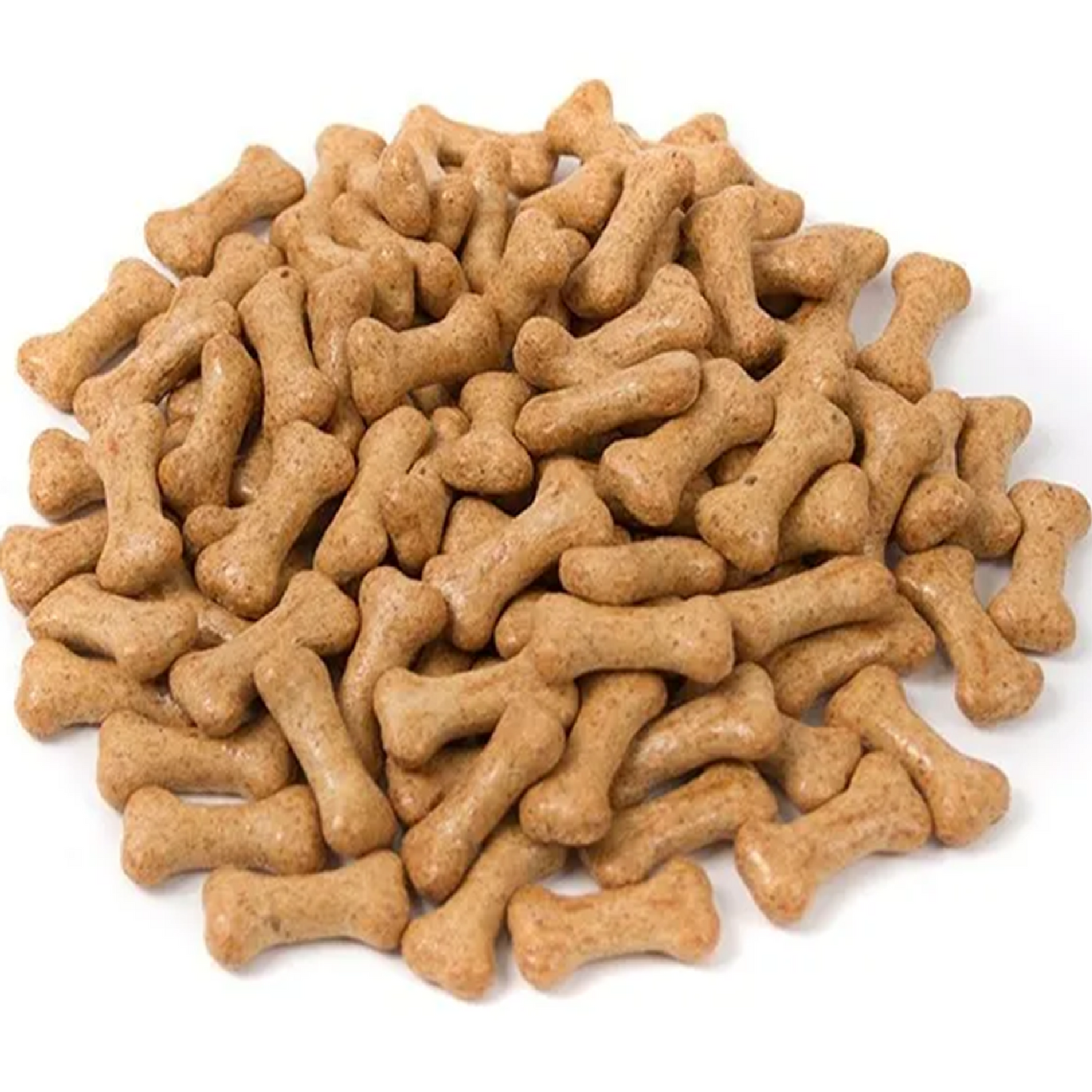 Pointer - Chicken Gravy Bones