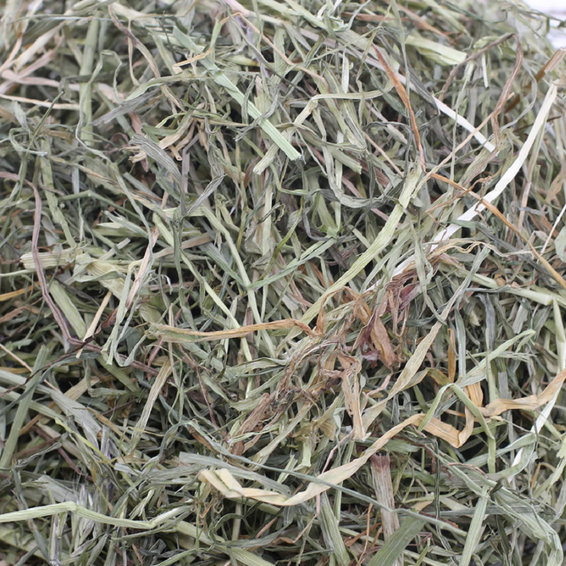 Excel - Green Harvest Feeding Hay