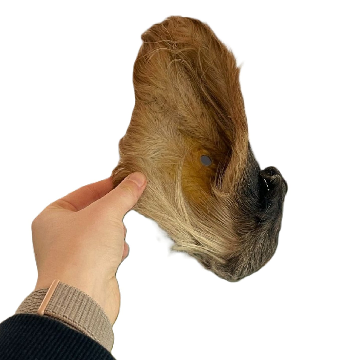 Paddock Farm - Hairy Cow Ears (25pk)