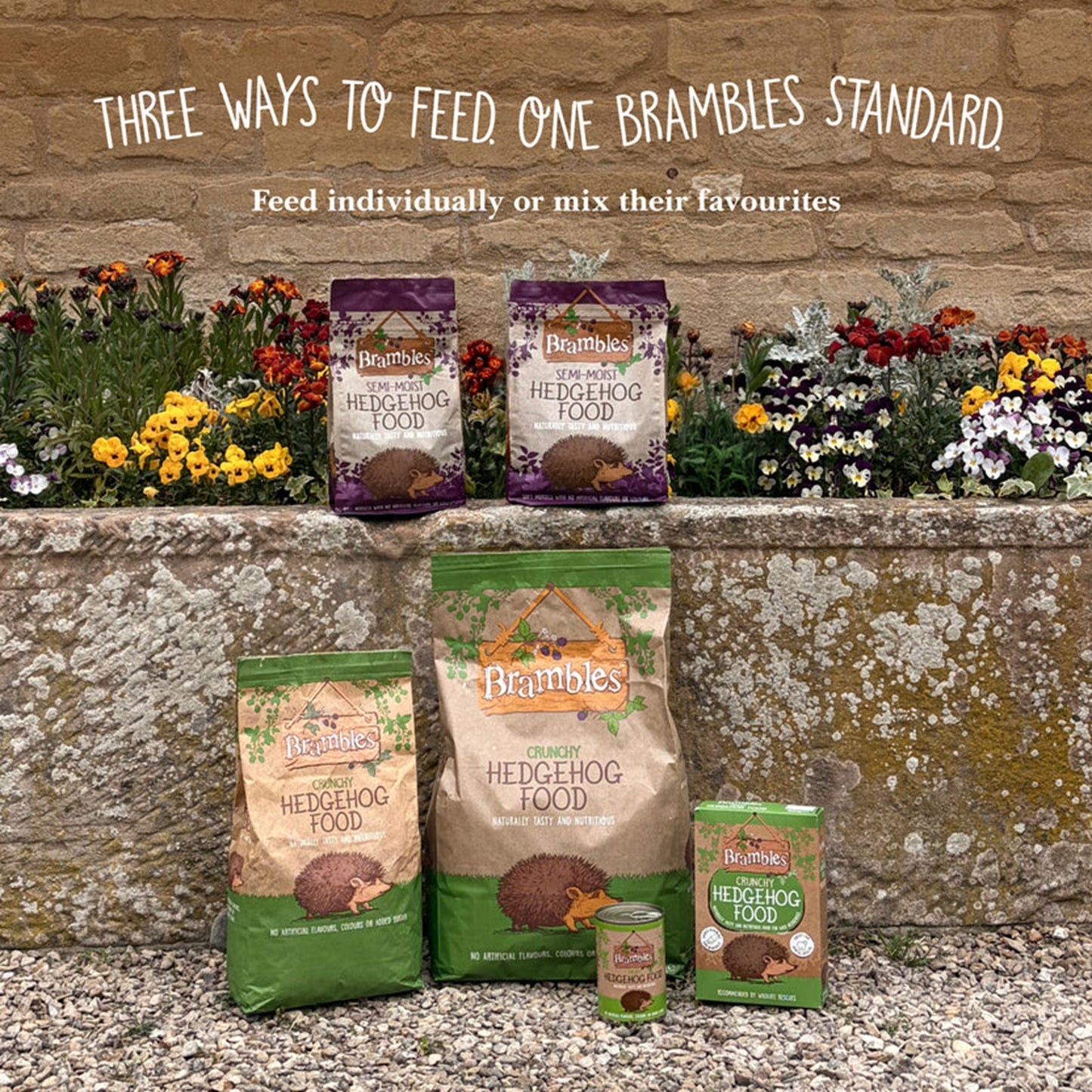 Brambles - Semi-Moist Hedgehog Food