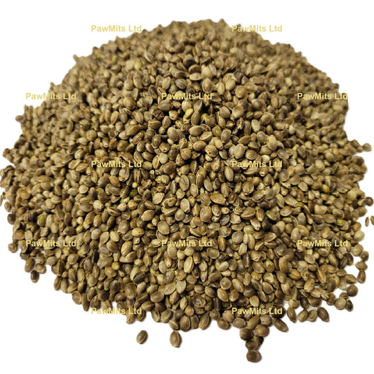 Hemp Seed