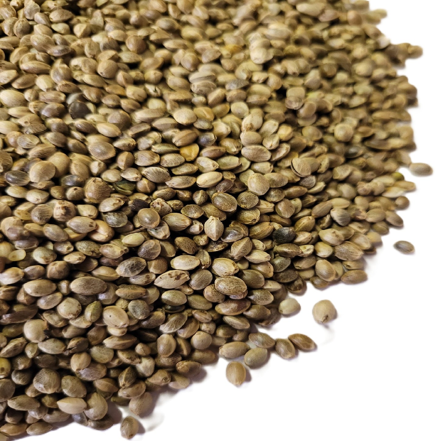 Hemp Seed