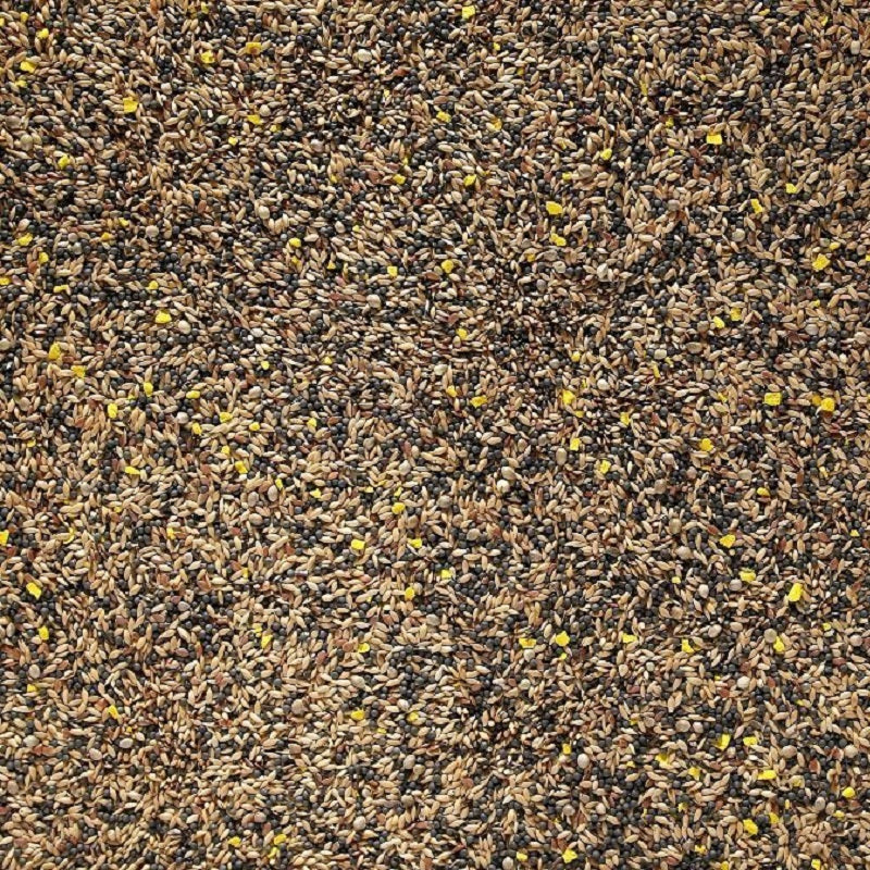 Johnston & Jeff - Mixed Canary Seed