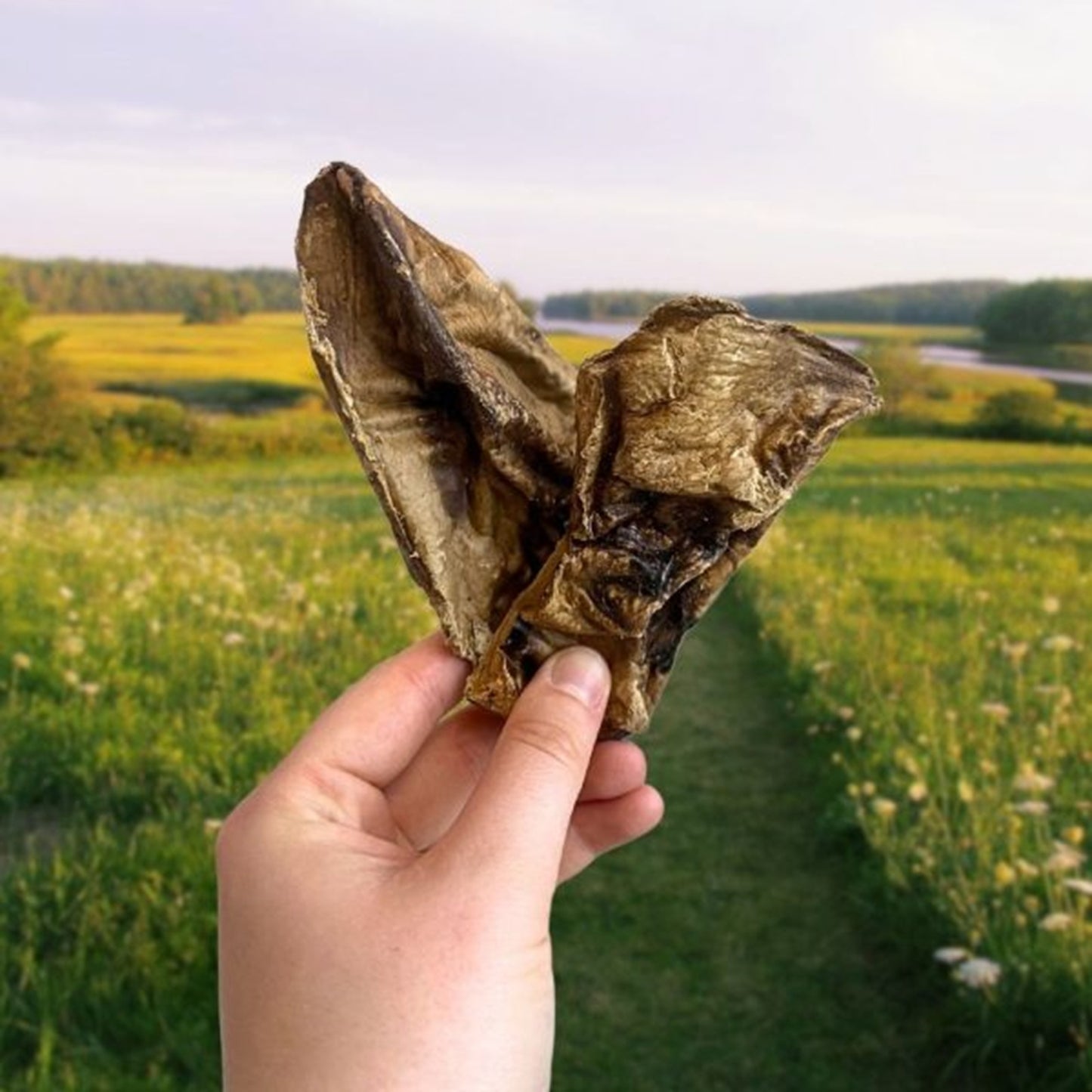 Paddock Farm - Puffed Jerky