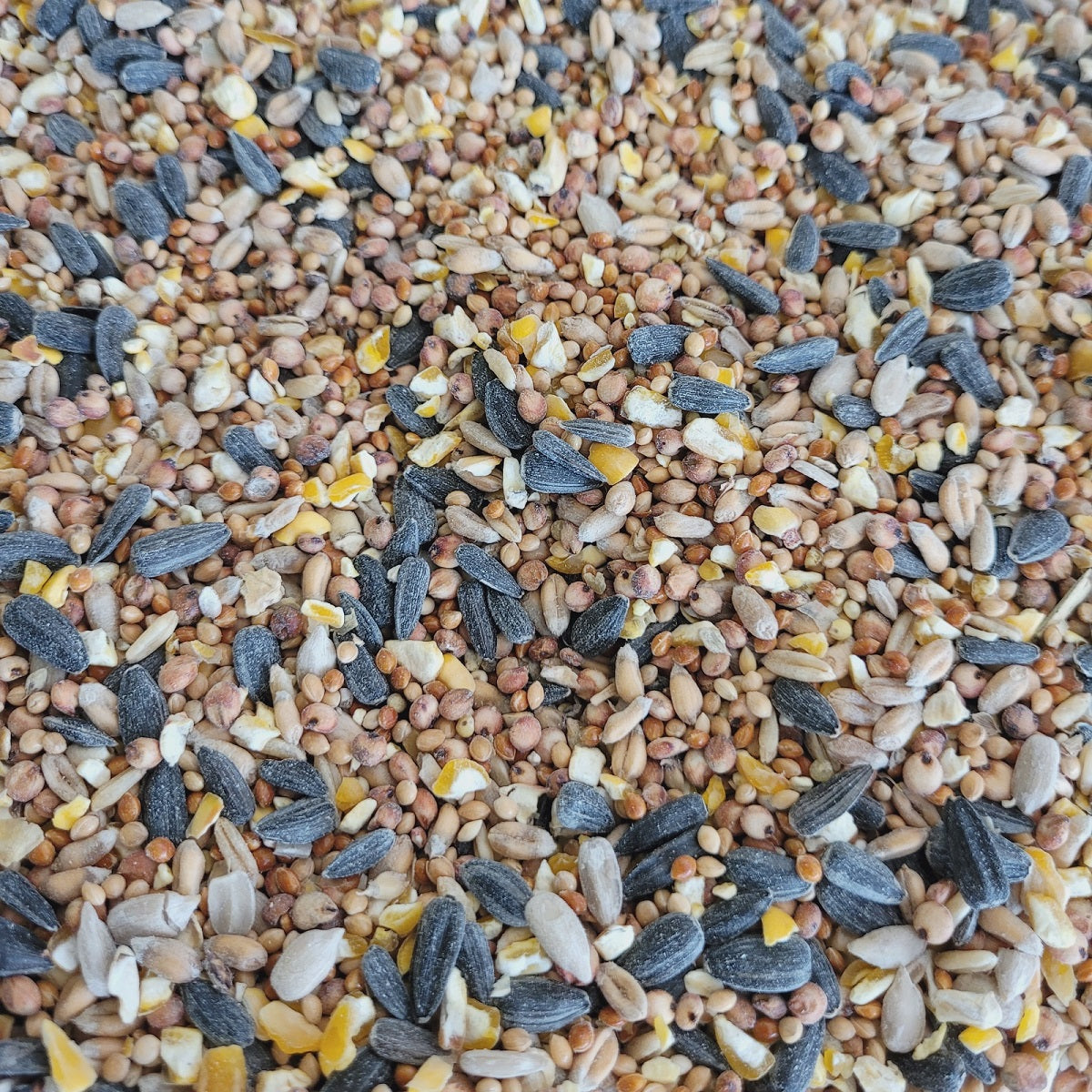 Kentish - Wild Bird Seed