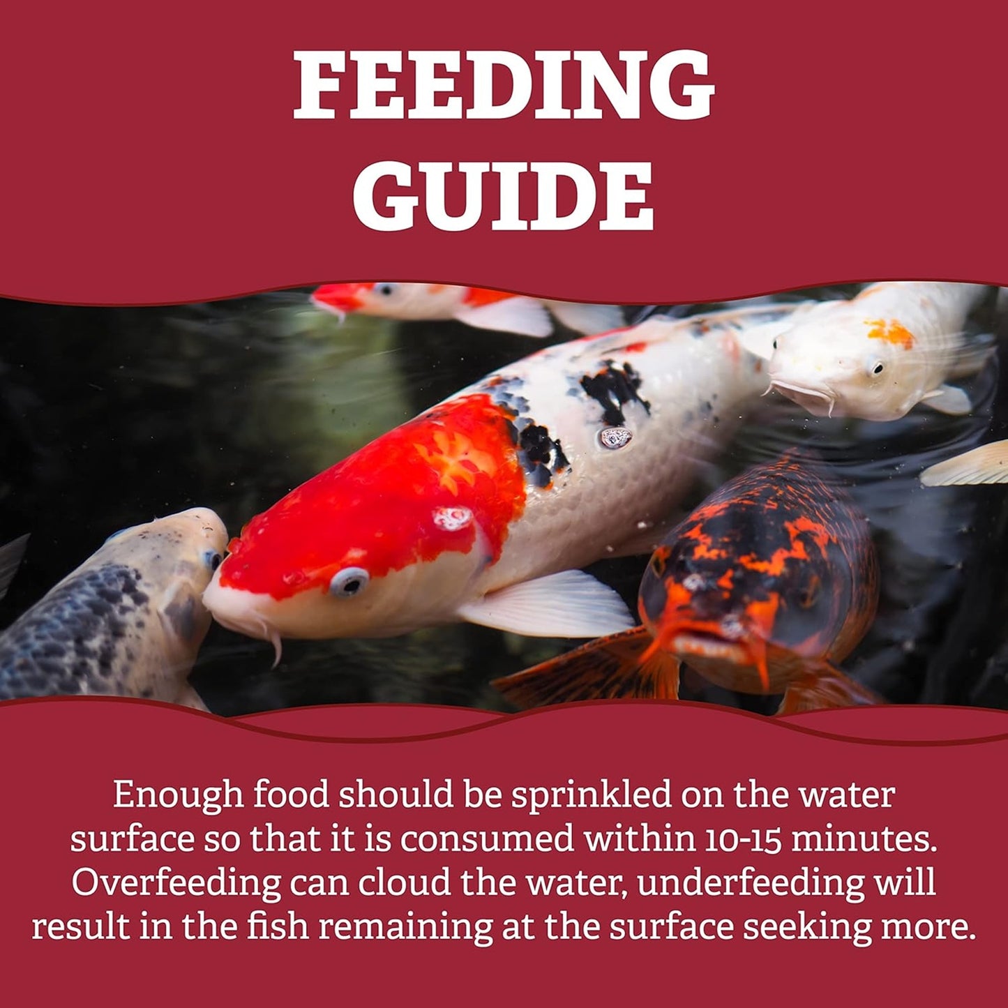 Pets Choice - Koi Carp Pellets