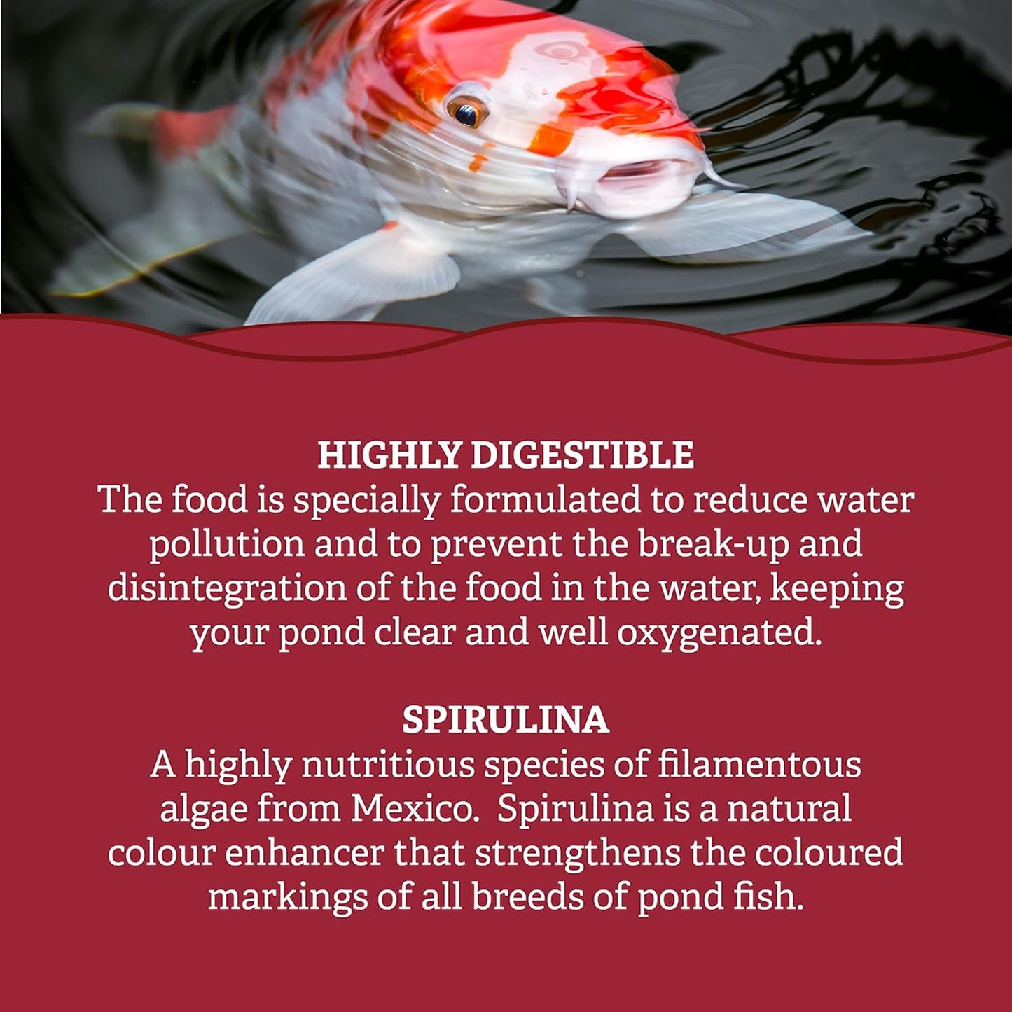 Pets Choice - Koi Carp Pellets