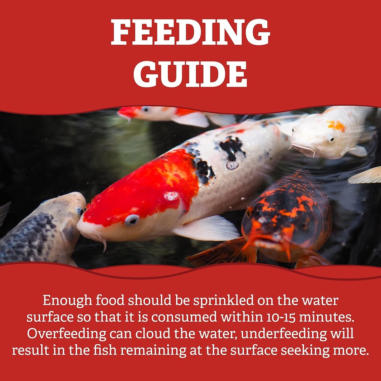 Pets Choice - Koi Sticks (5kg)