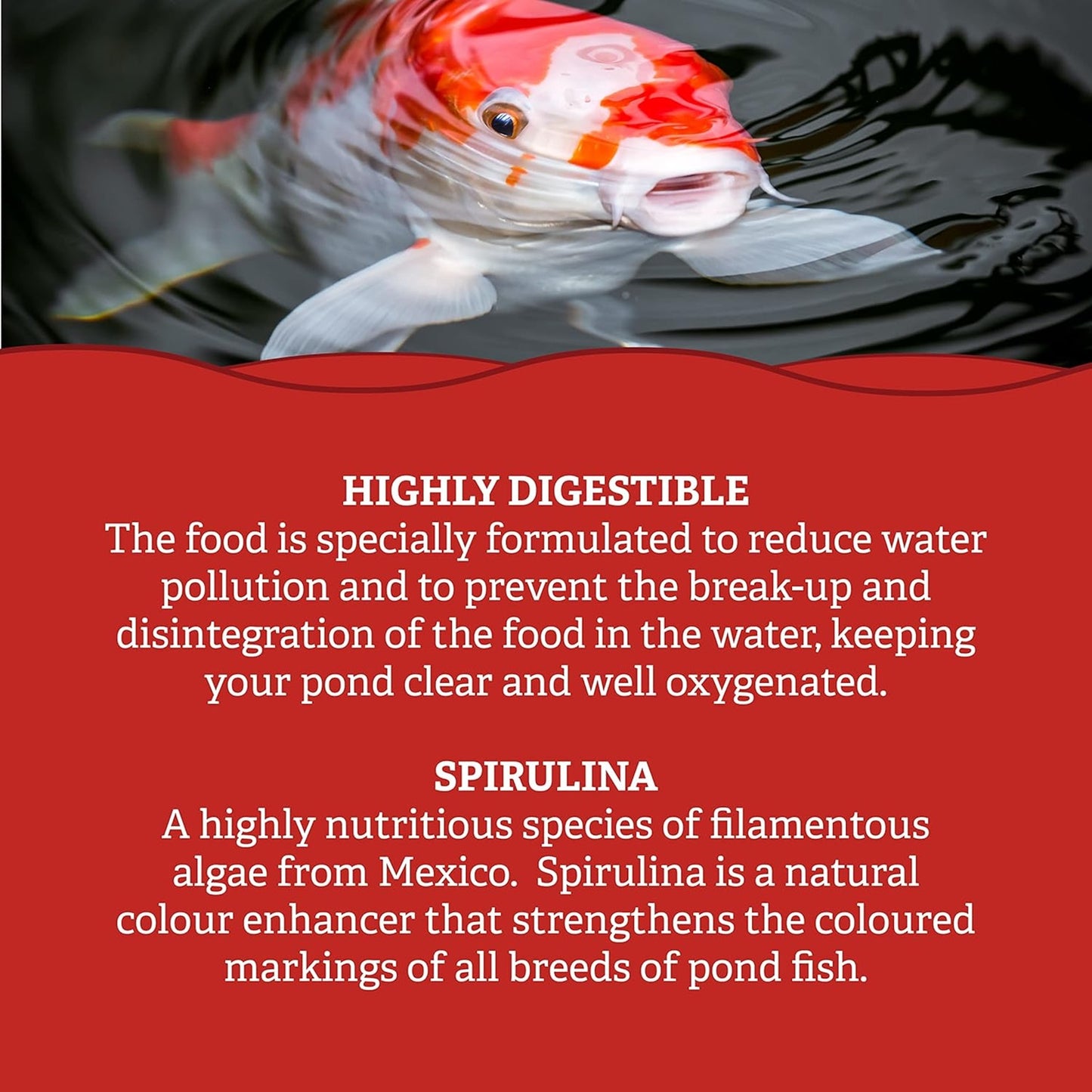 Pets Choice - Koi Sticks (5kg)