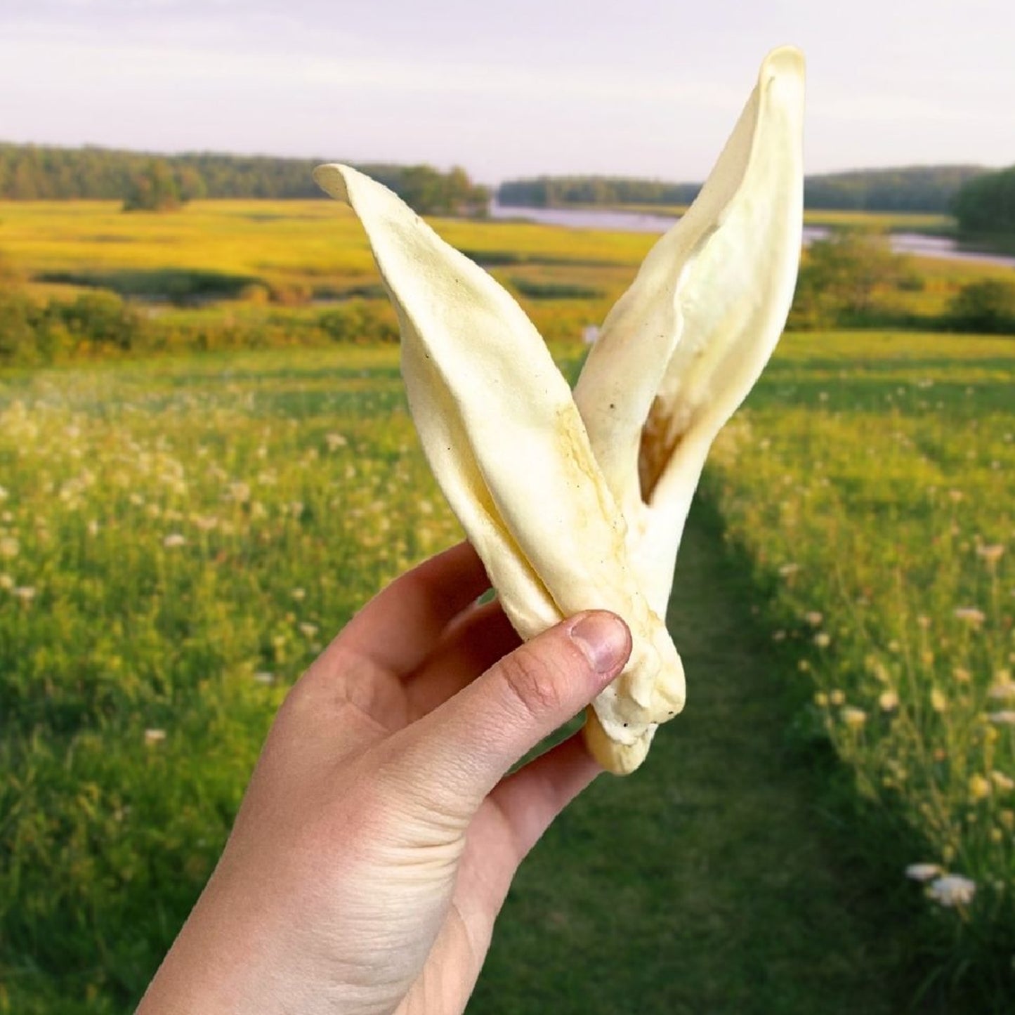 Paddock Farm - Lamb Ears (1kg)