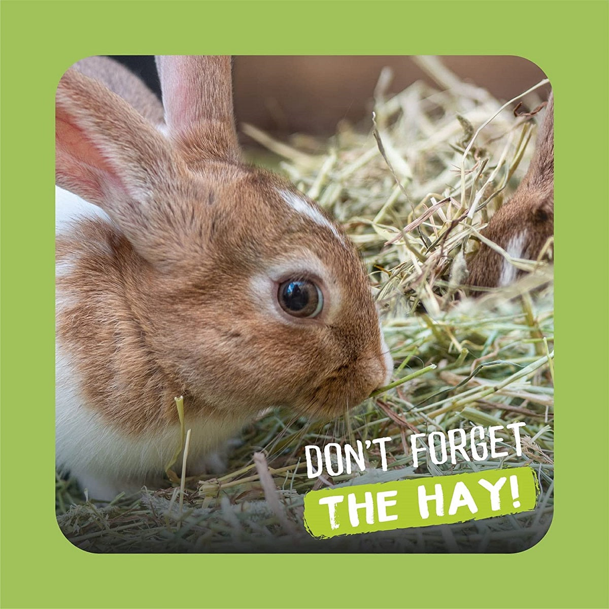 Excel - Long Stem Feeding Hay