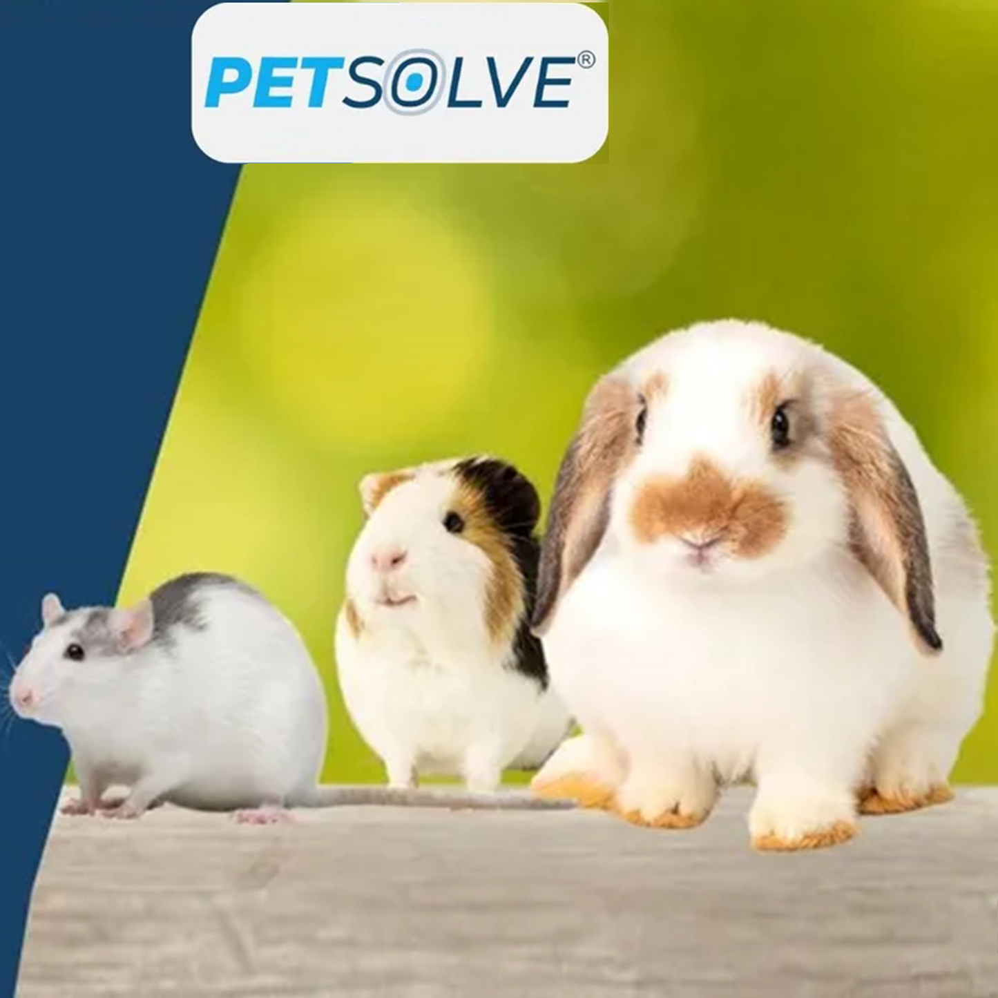 PETSOLVE - Mange Treatment Small Animal (5ml)
