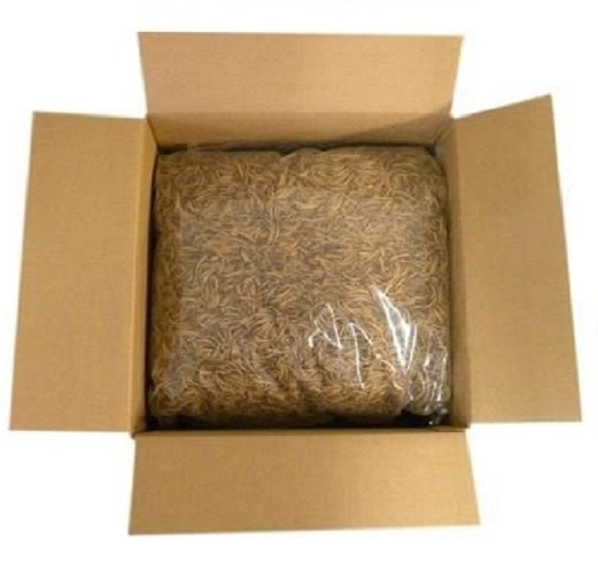 Dried Mealworms