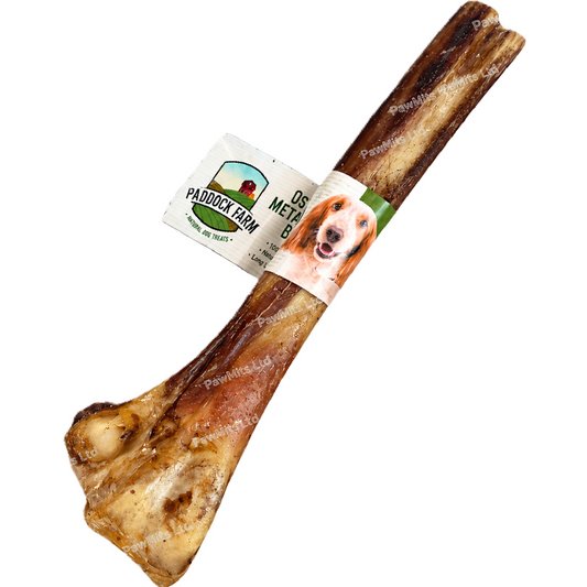 Paddock Farm - Ostrich Metatarsus Bone