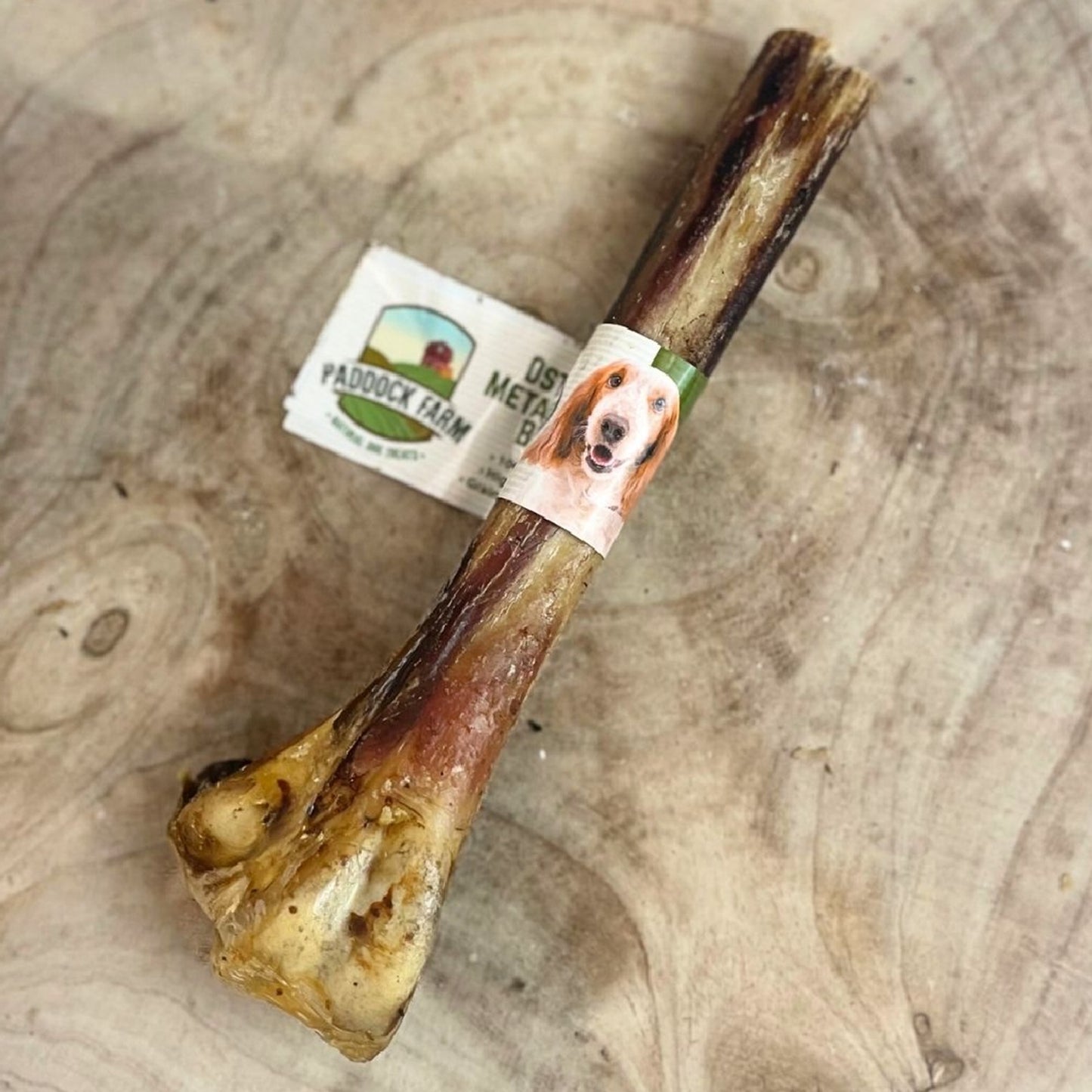 Paddock Farm - Ostrich Metatarsus Bone