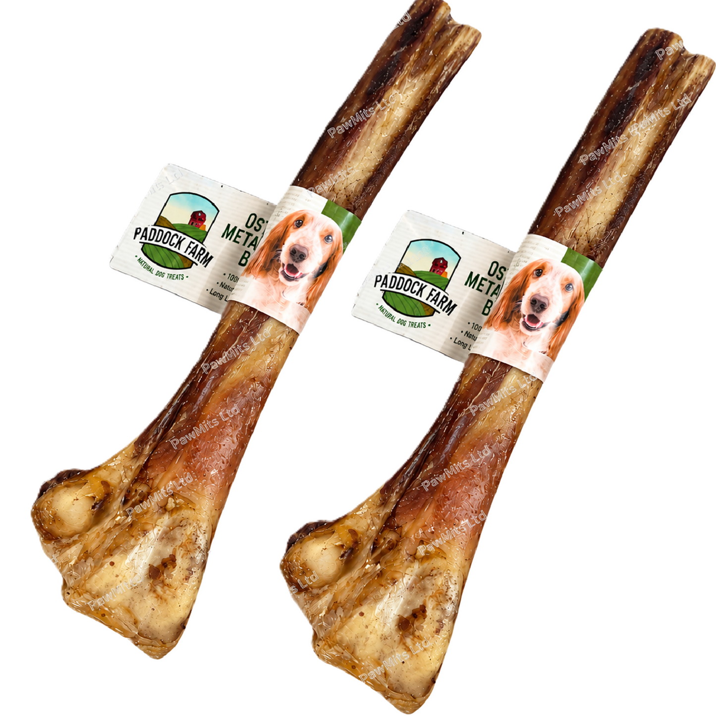 Paddock Farm - Ostrich Metatarsus Bone