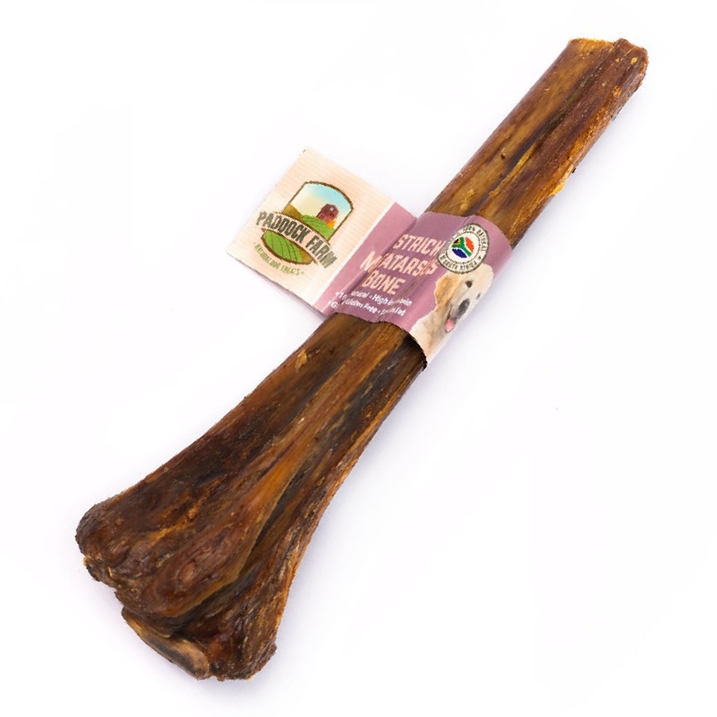 Paddock Farm - Ostrich Metatarsus Bone