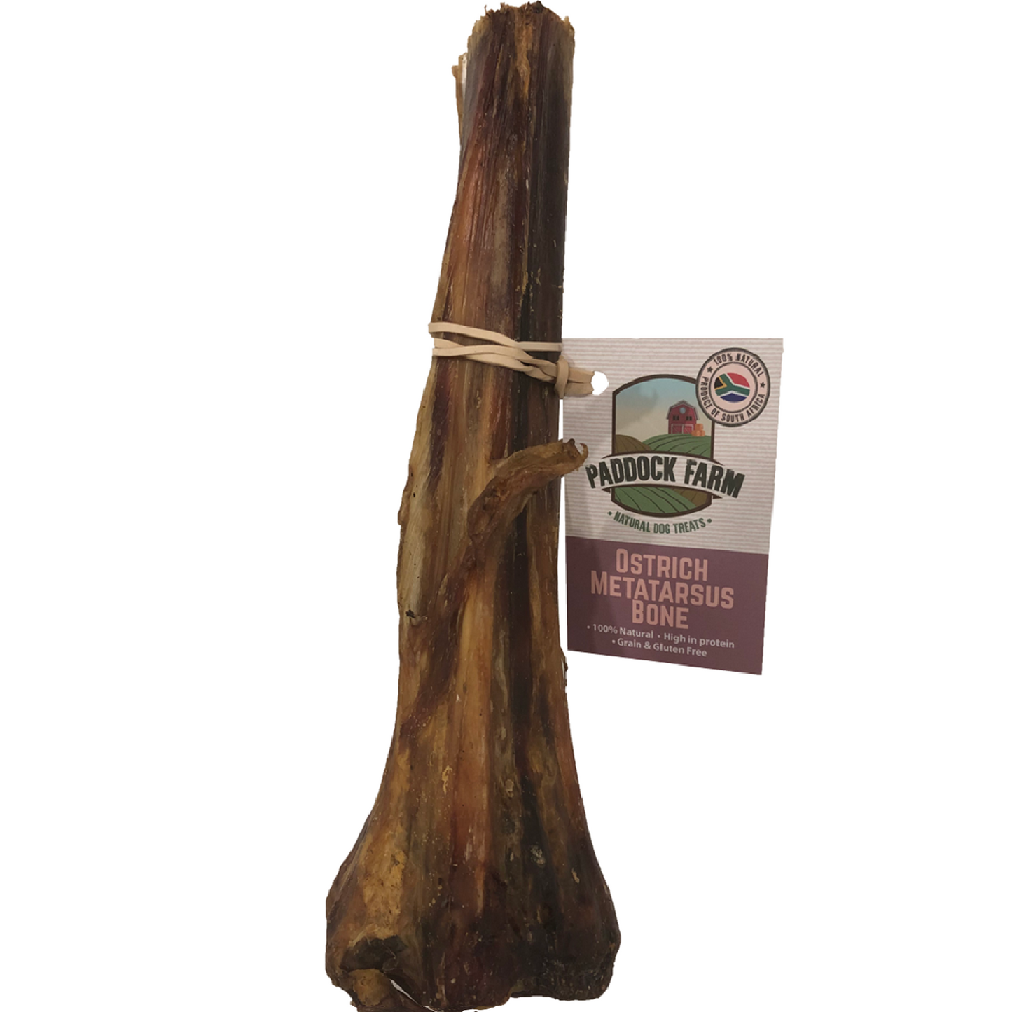Paddock Farm - Ostrich Metatarsus Bone