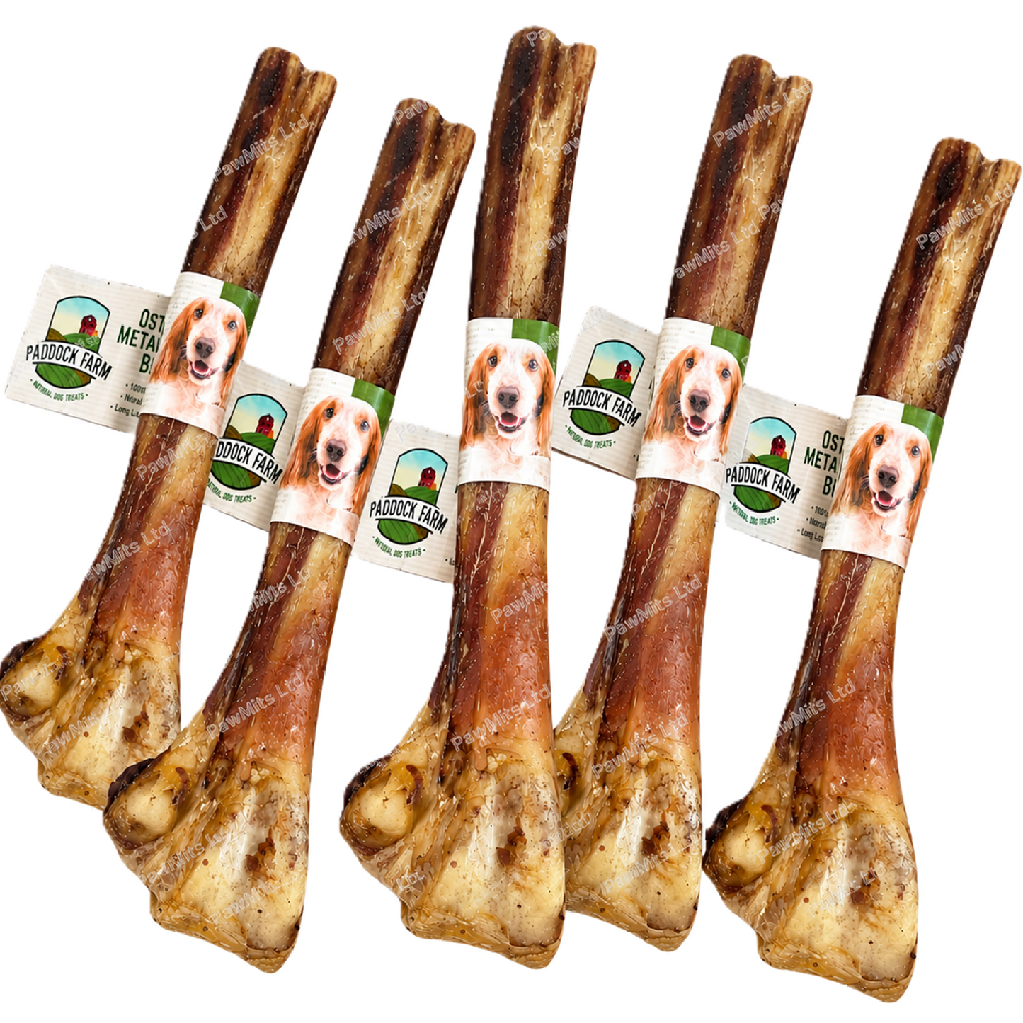 Paddock Farm - Ostrich Metatarsus Bone