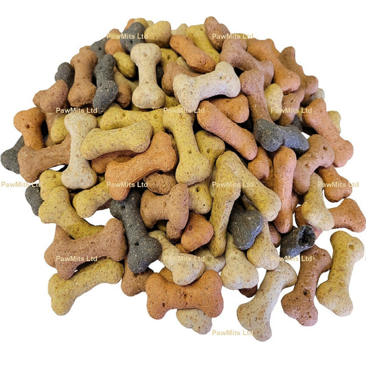 Pointer - Assorted Mini Bones