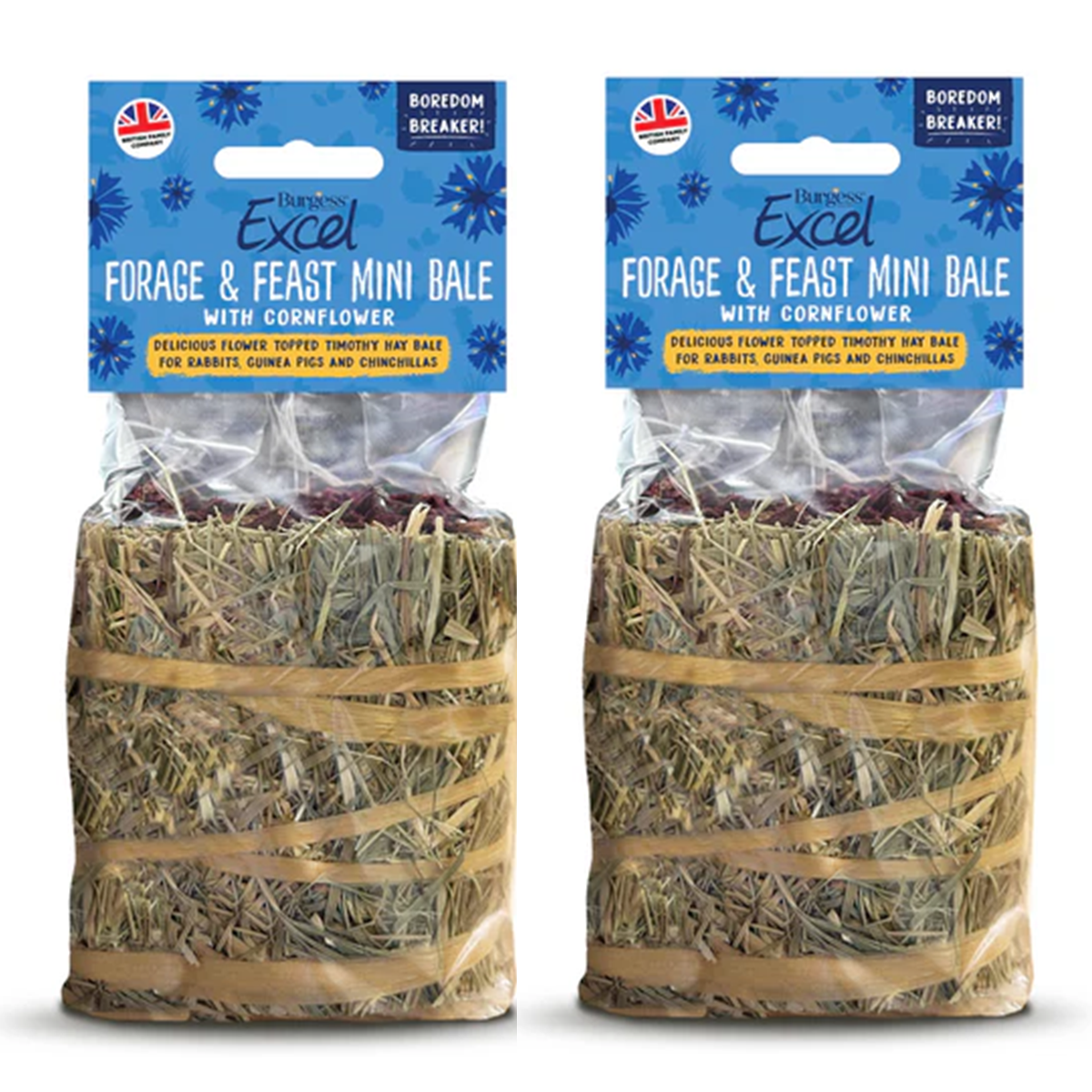 Burgess Excel - Forage & Feast Mini Bale (100g)