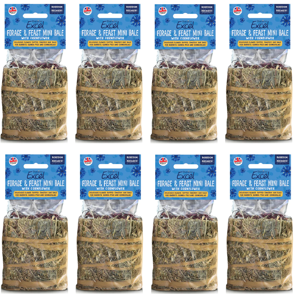 Burgess Excel - Forage & Feast Mini Bale (100g)