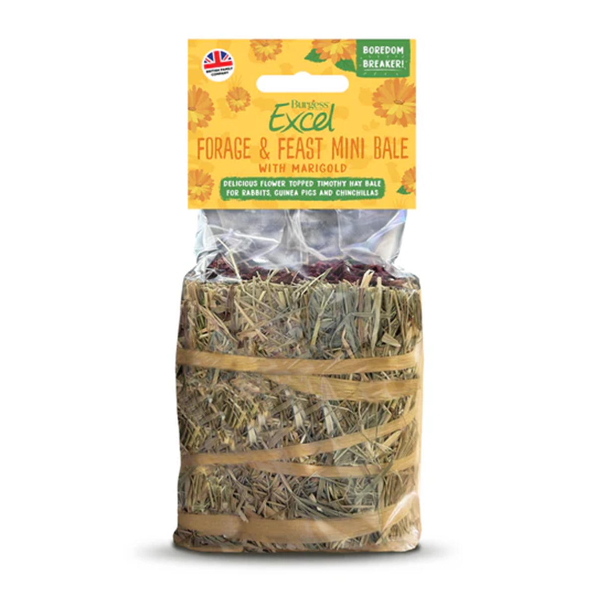 Burgess Excel - Forage & Feast Mini Bale (100g)