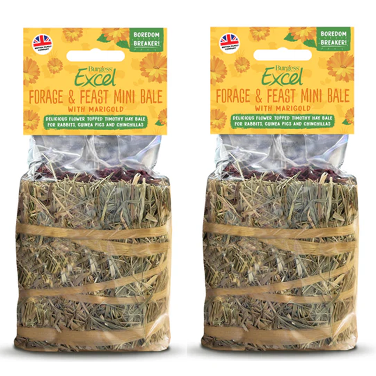 Burgess Excel - Forage & Feast Mini Bale (100g)