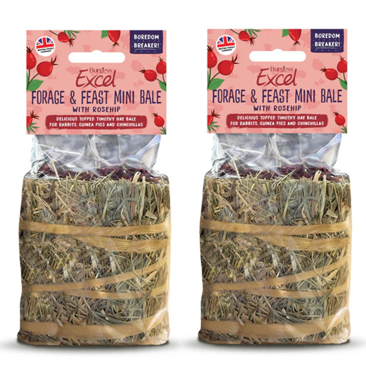 Burgess Excel - Forage & Feast Mini Bale (100g)