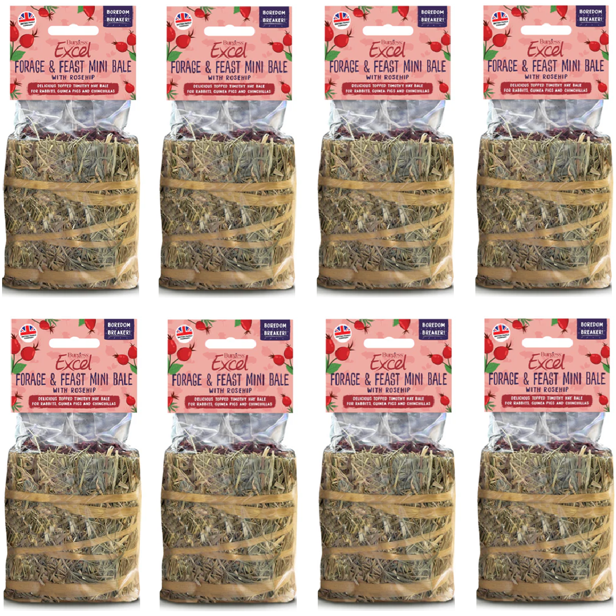 Burgess Excel - Forage & Feast Mini Bale (100g)