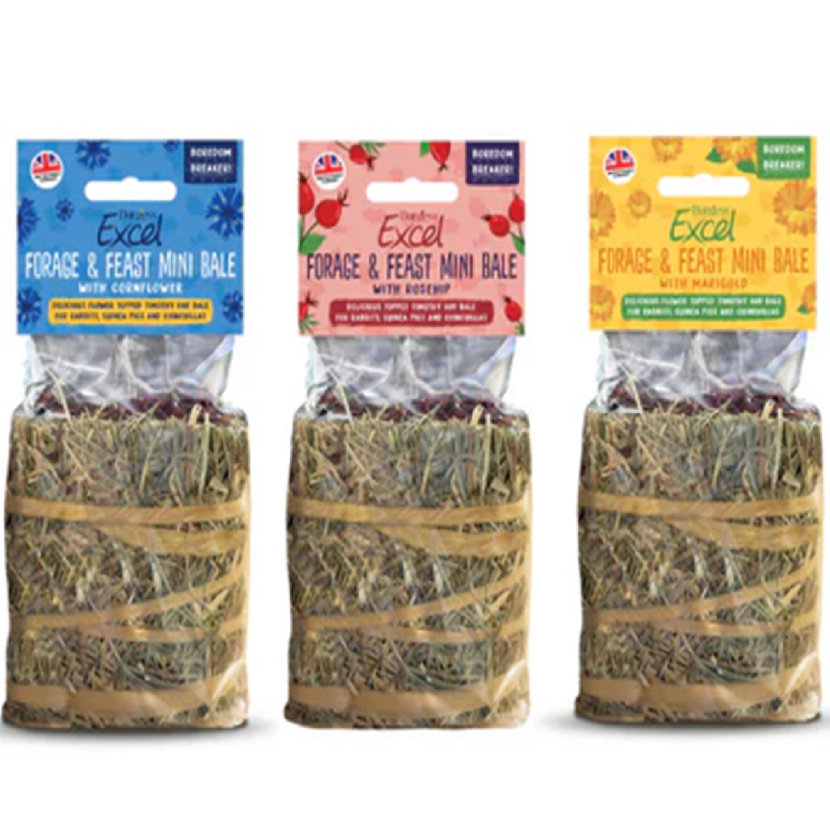 Burgess Excel - Forage & Feast Mini Bale (100g)