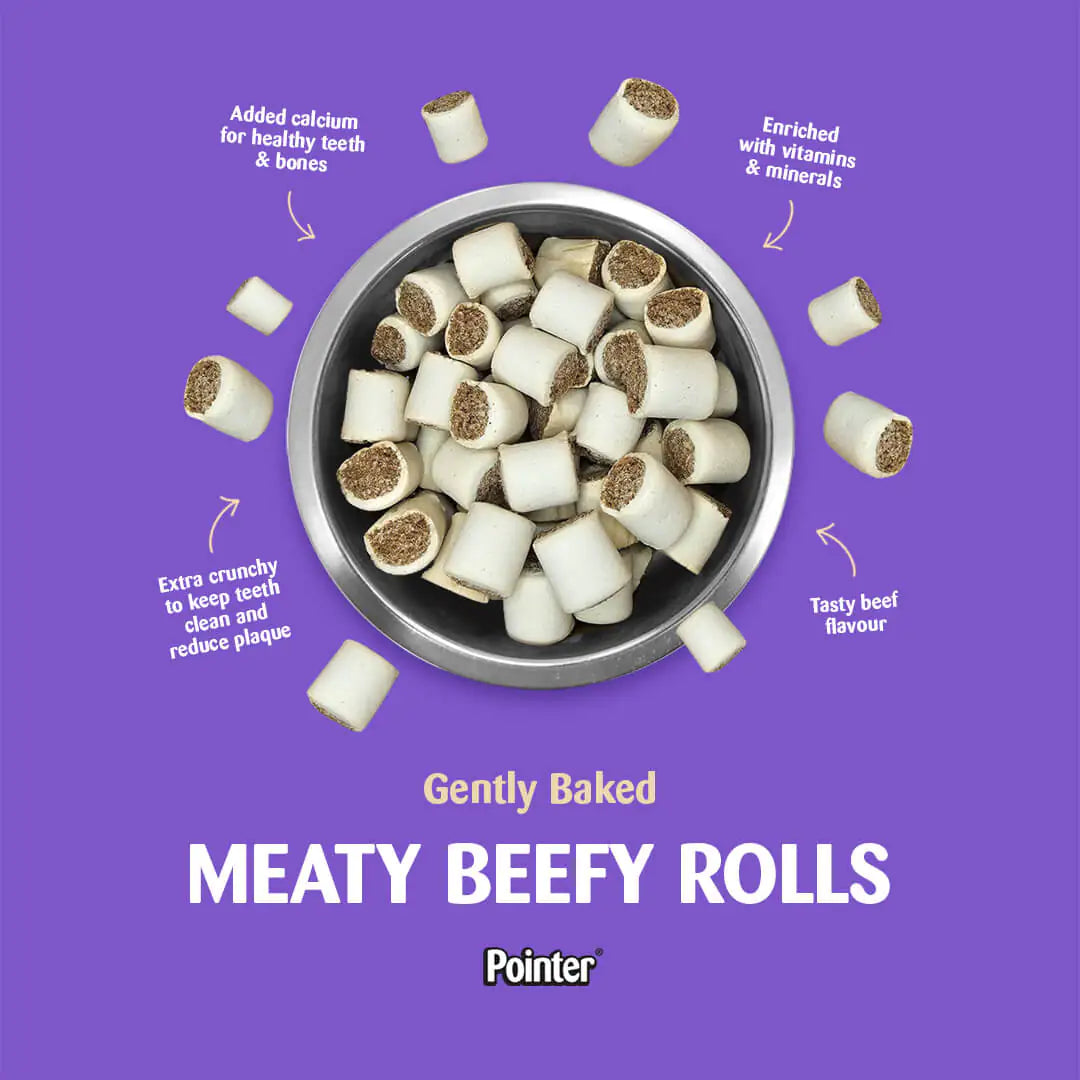 Pointer - Mini Meaty Rolls (12.5kg)