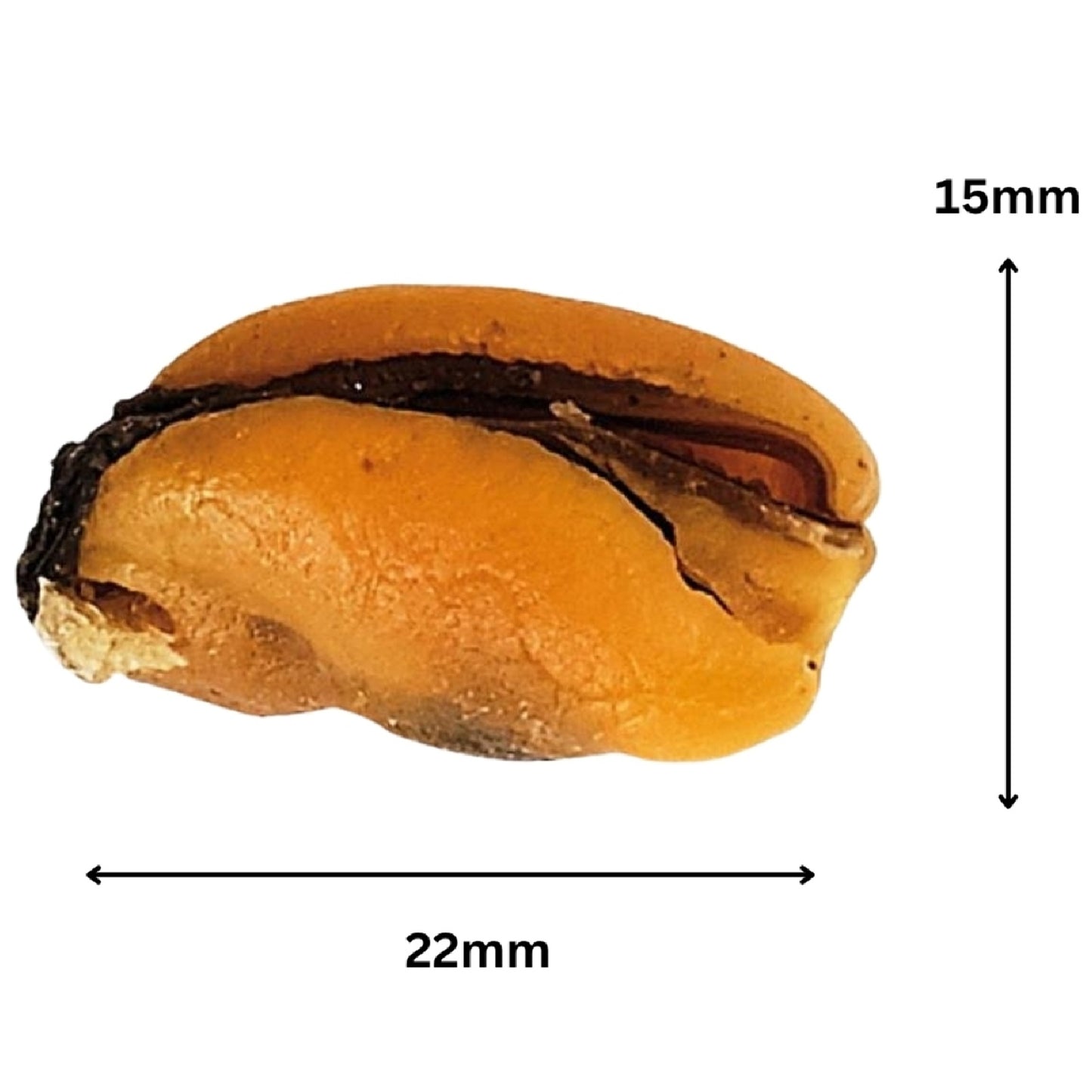 Antos - Fish D'light Mussels (100g)