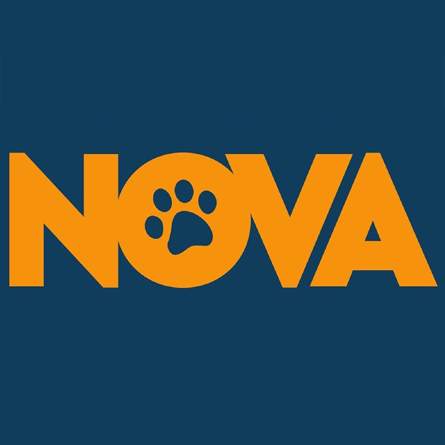 NOVA - Pumpkin Powder (200g)