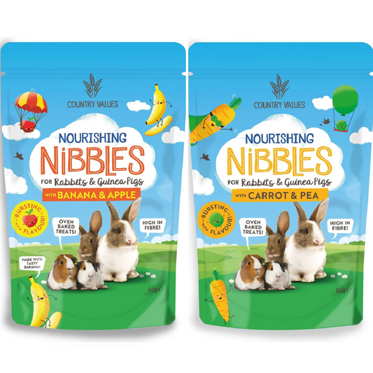 Country Values - Nourishing Nibbles Treats (60g)
