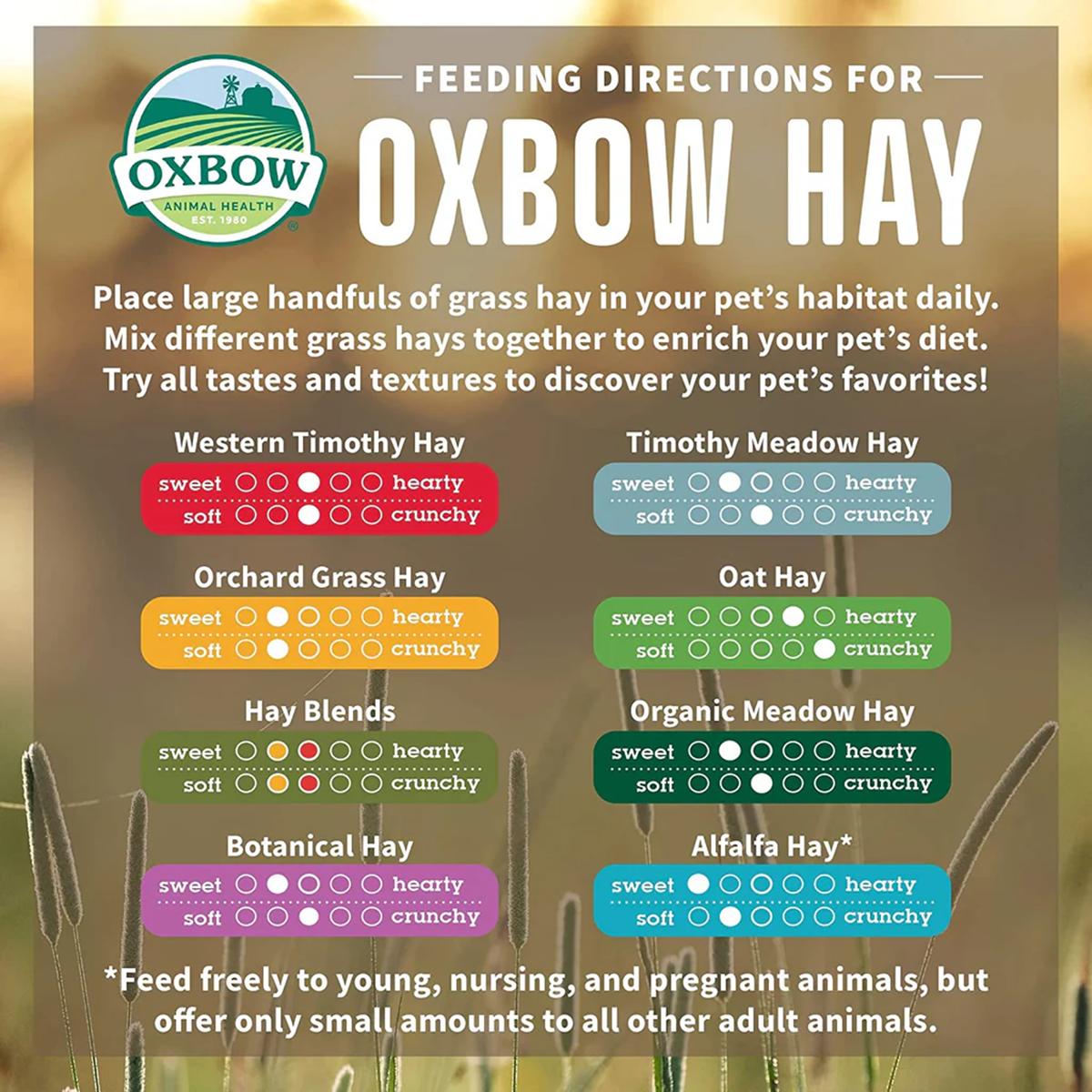 Oxbow - Western Timothy Hay