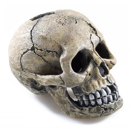 Classic - Spooky Skull (8.5cm)