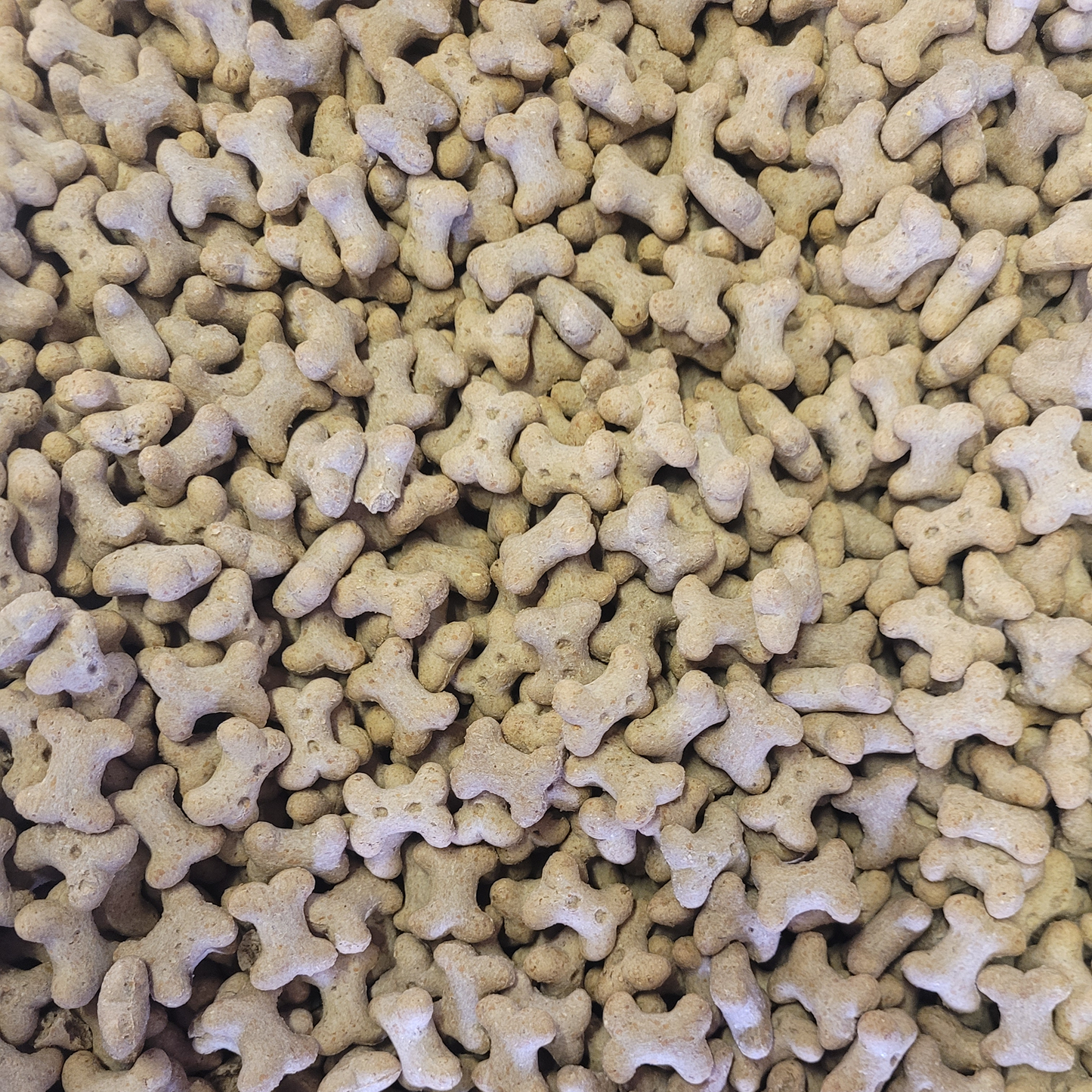 Pointer - Peanut Butter Small Bite Bones