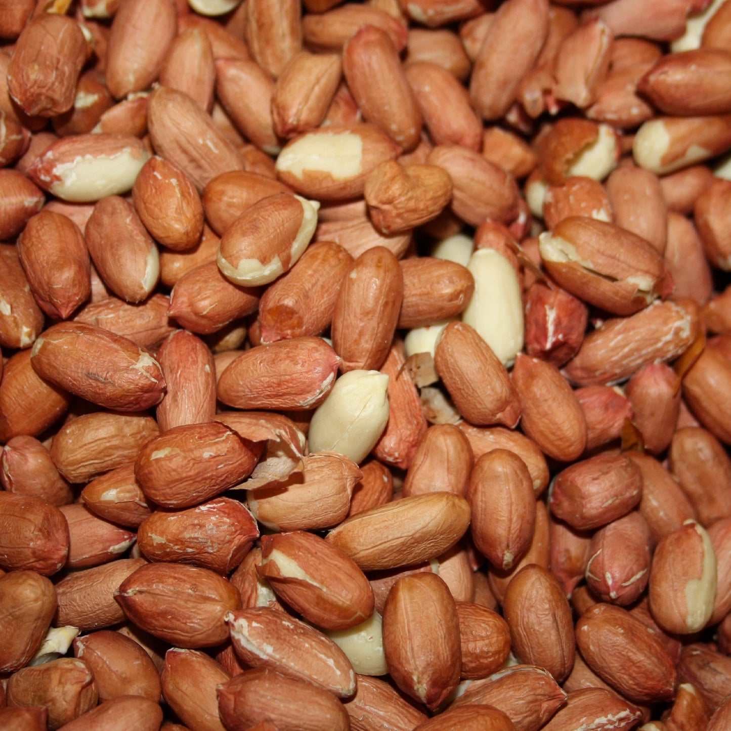 Peanuts