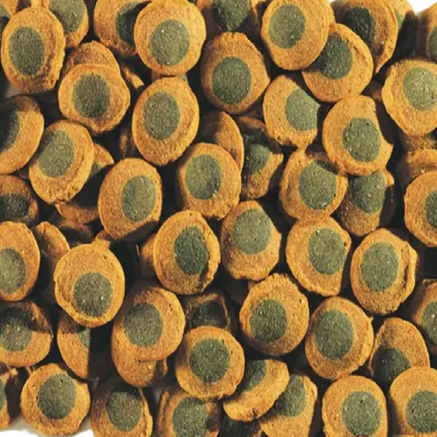 Tetra - Pleco Spirulina Wafers (42g)