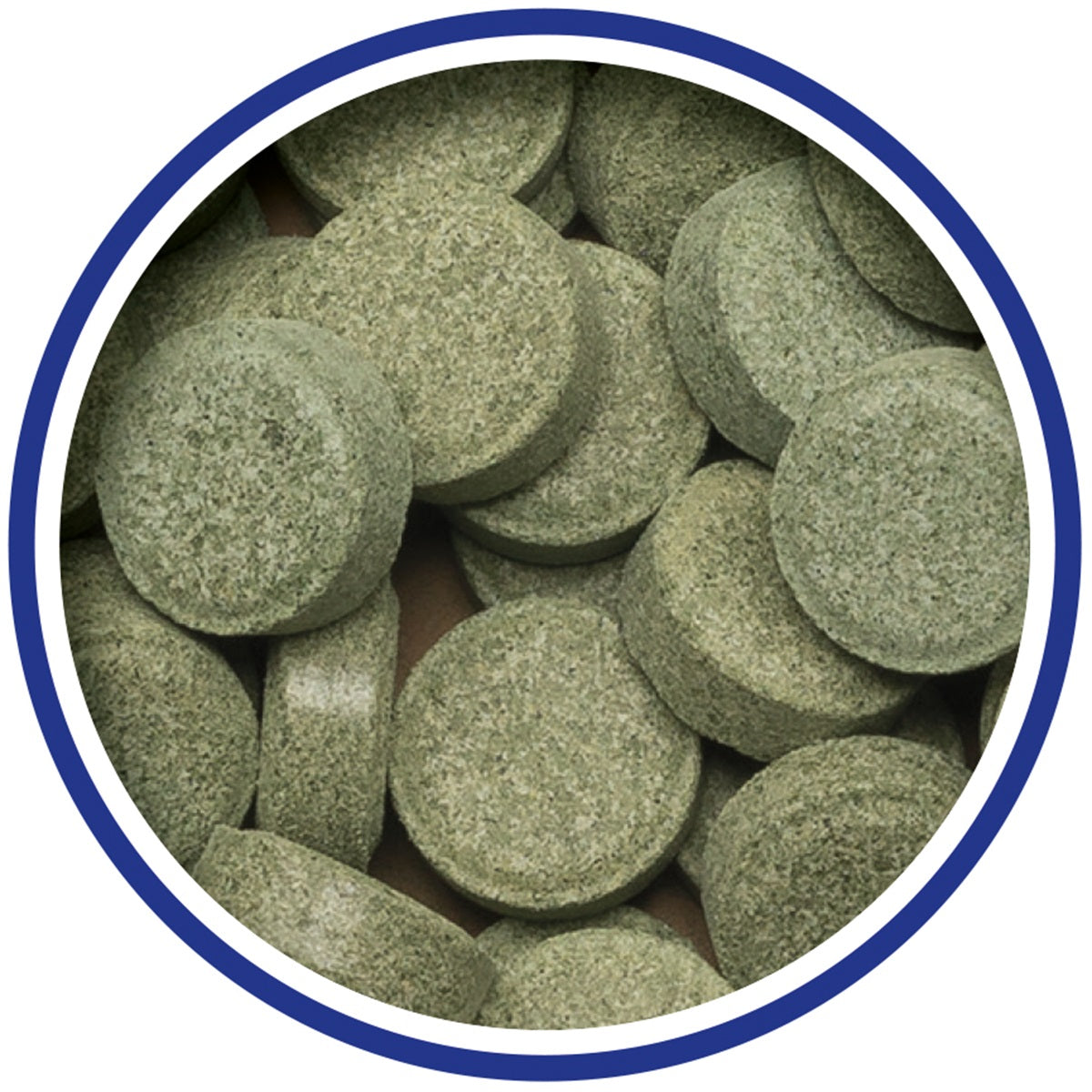 King British - Plecostomus Tablets